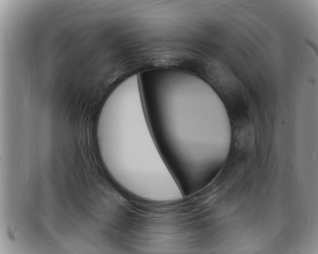 X0000098200219200804241046