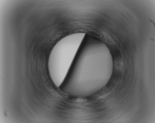 X0000098200223200804241046