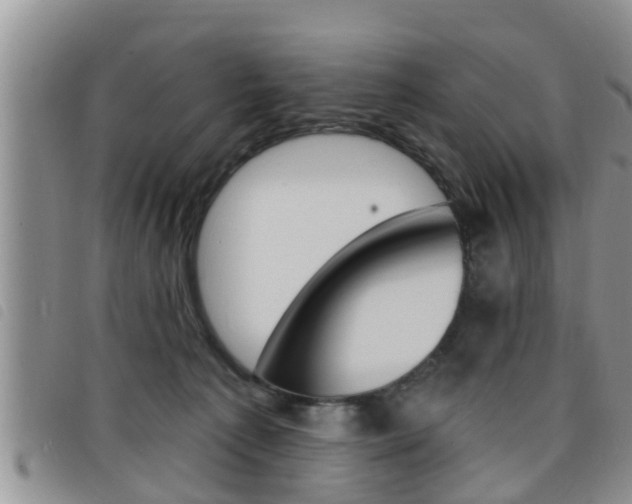 X0000098200225200804241046