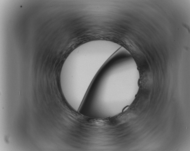 X0000098200229200804241046