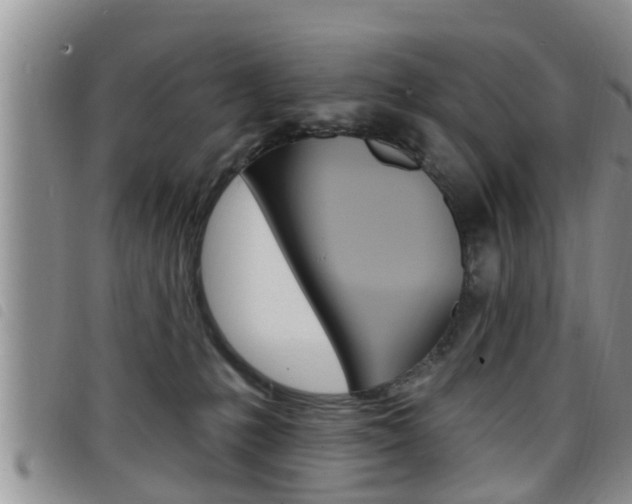 X0000098200231200804241046
