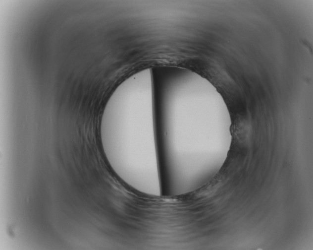 X0000098200233200804241046