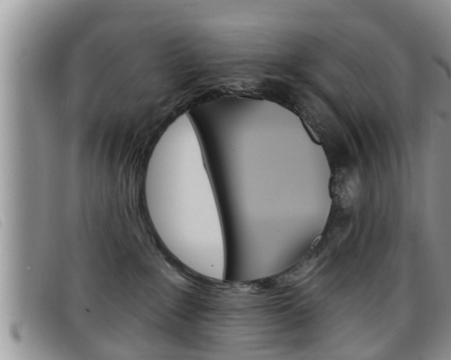 X0000098200235200804241046