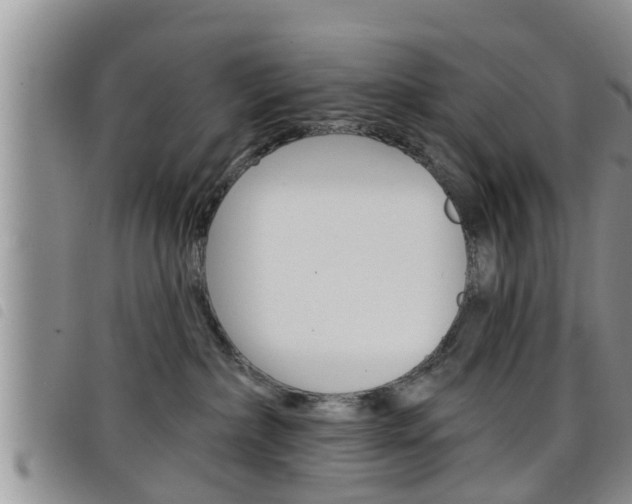 X0000098200236200804241046