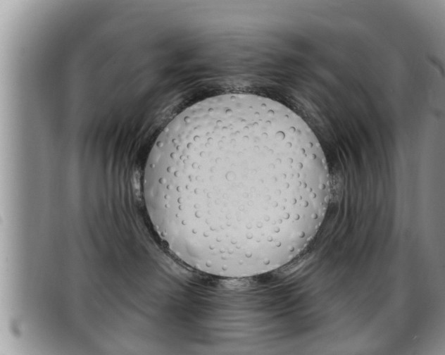 X0000098200238200804241046