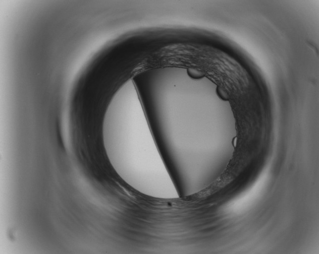 X0000098200239200804241046