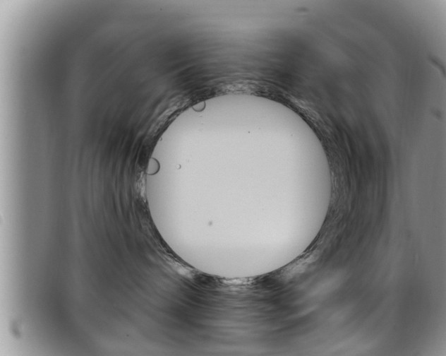 X0000098200240200804241046