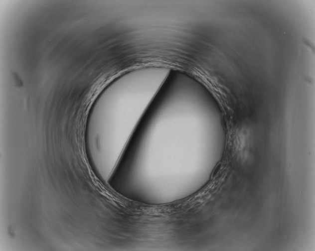 X0000098200241200804241045