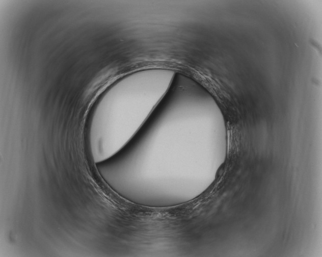 X0000098200243200804241045
