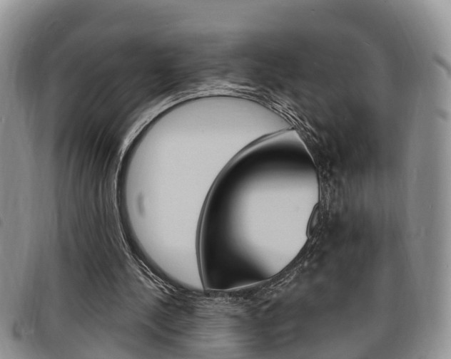 X0000098200244200804241045