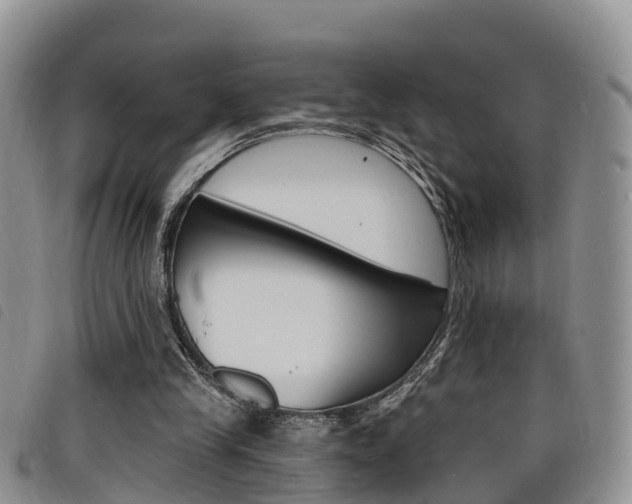 X0000098200245200804241045