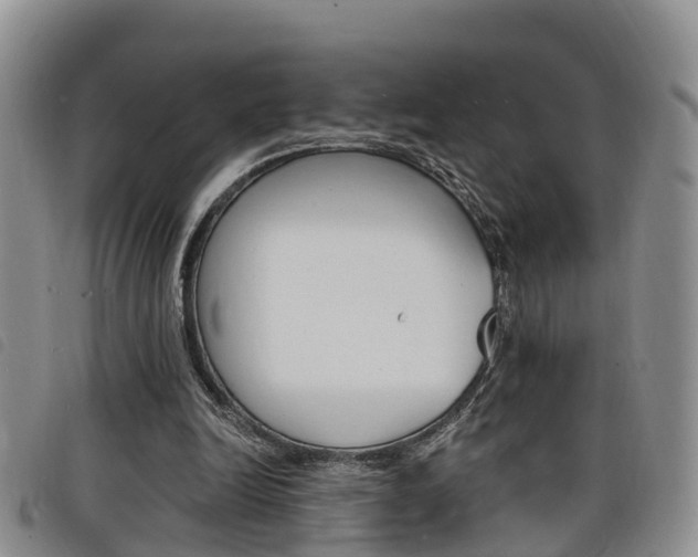 X0000098200246200804241045