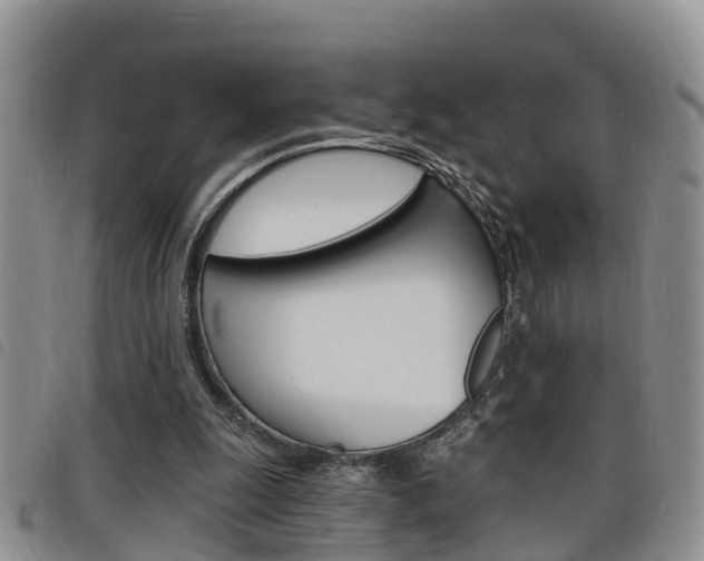 X0000098200247200804241045