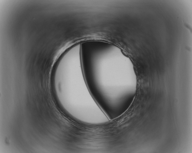 X0000098200248200804241045