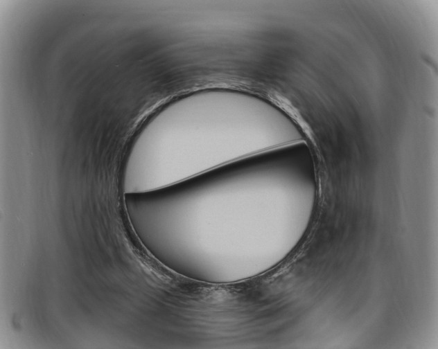 X0000098200249200804241045