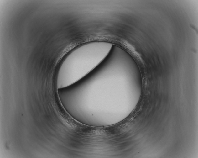 X0000098200250200804241045