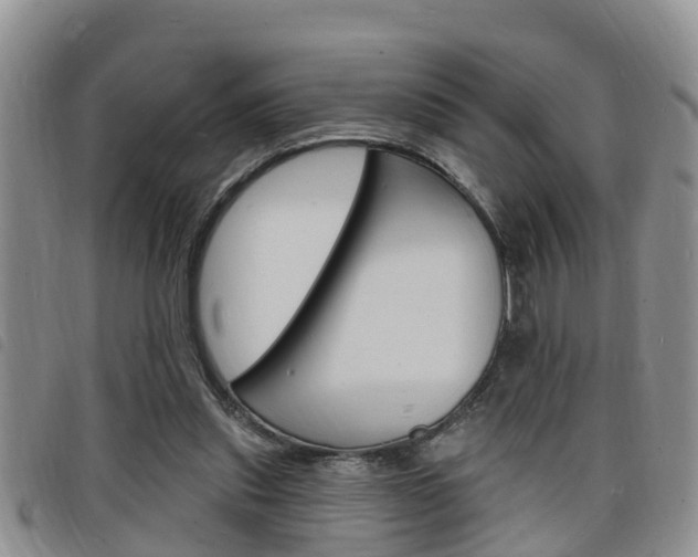 X0000098200253200804241045