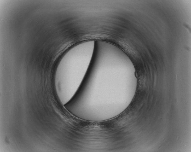 X0000098200254200804241045