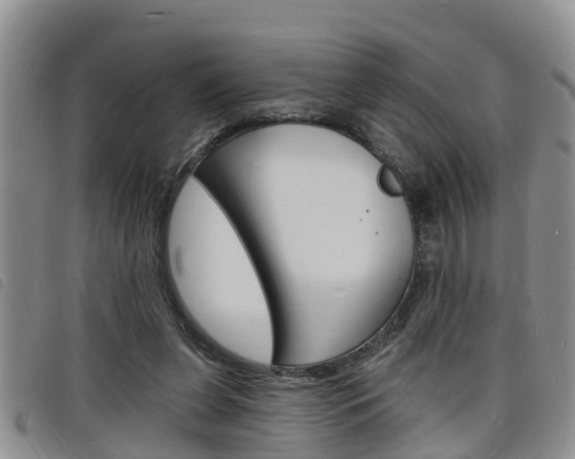 X0000098200255200804241045