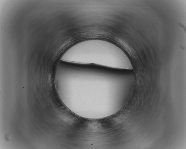 X0000098200258200804241045