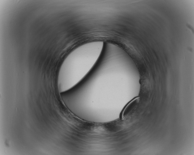 X0000098200262200804241045