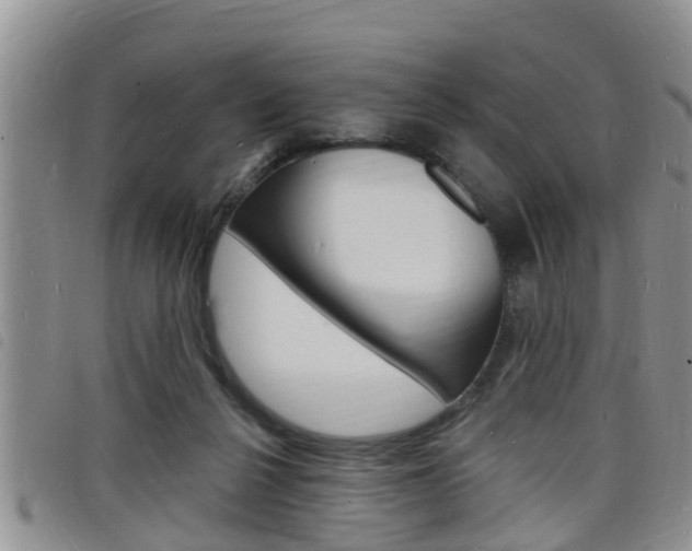 X0000098200264200804241045