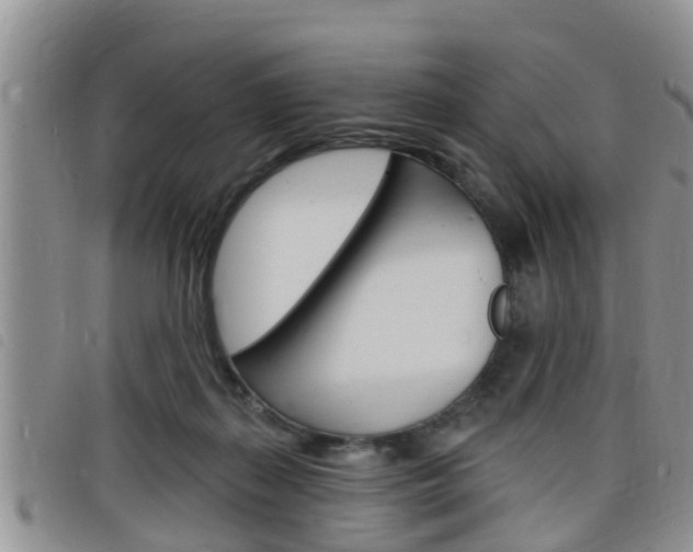 X0000098200267200804241045