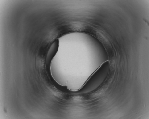 X0000098200268200804241045