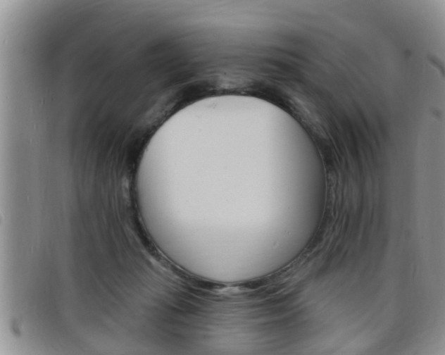 X0000098200269200804241045