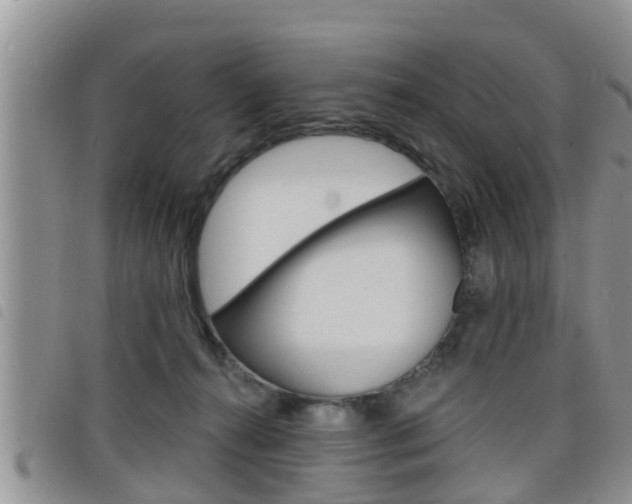 X0000098200272200804241045