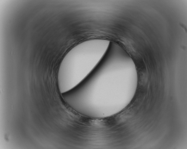 X0000098200273200804241045