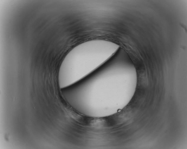 X0000098200274200804241045
