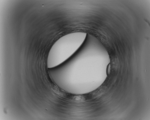 X0000098200275200804241045