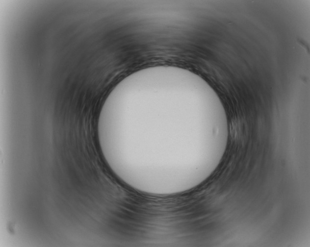 X0000098200276200804241045