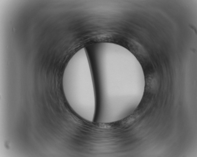 X0000098200278200804241045