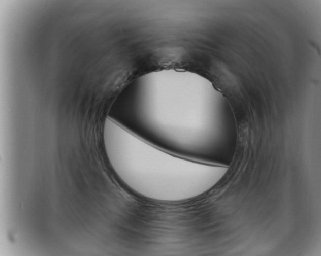 X0000098200280200804241045