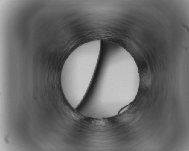 X0000098200282200804241045