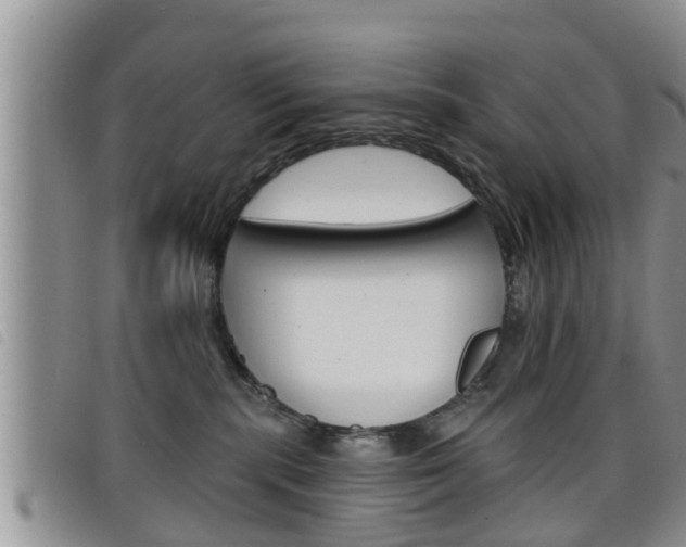 X0000098200283200804241046
