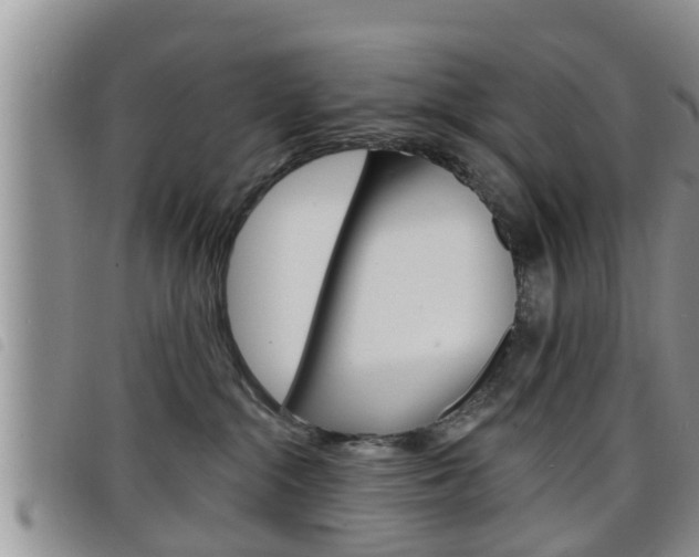 X0000098200284200804241046