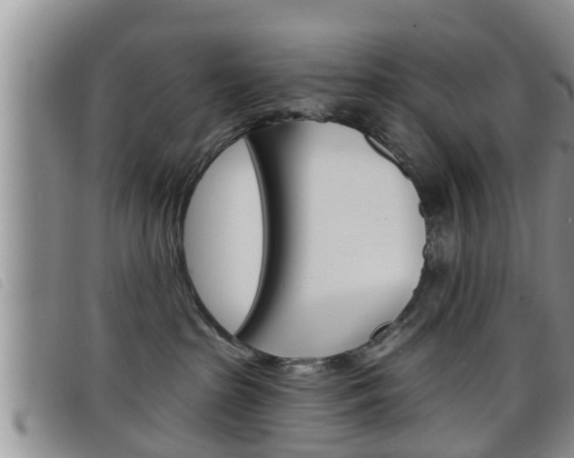 X0000098200285200804241046