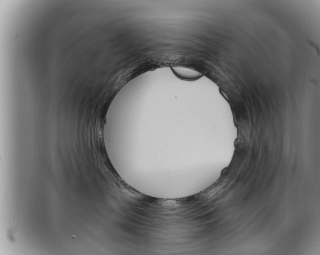 X0000098200287200804241046