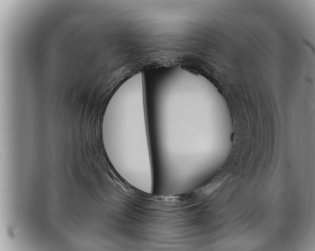 X0000098200288200804241046