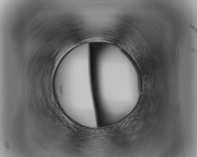 X0000098200289200804241045