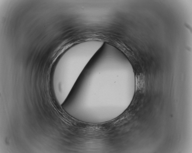 X0000098200291200804241045