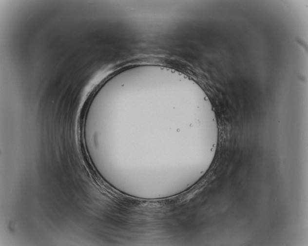 X0000098200294200804241045
