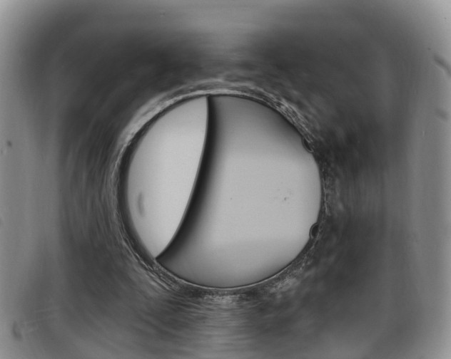 X0000098200295200804241045