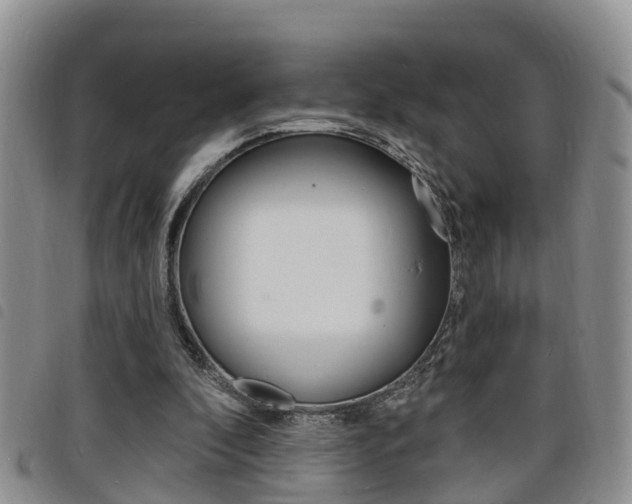 X0000098200296200804241045