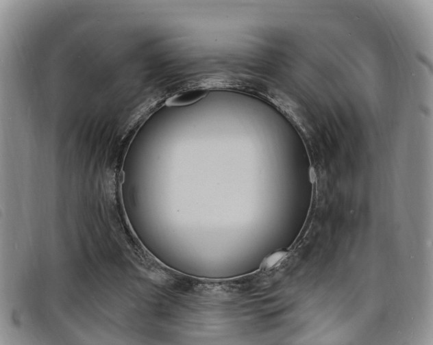 X0000098200297200804241045
