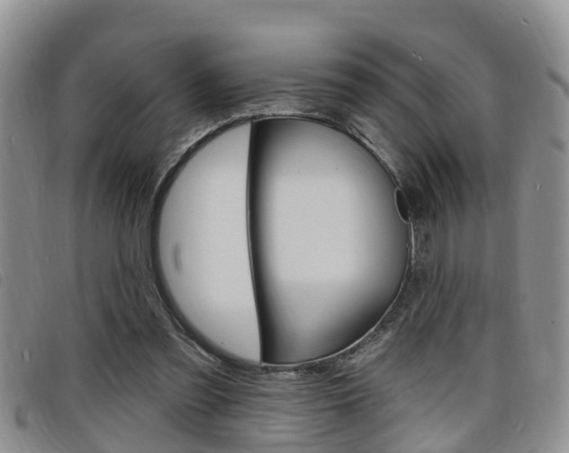 X0000098200301200804241045