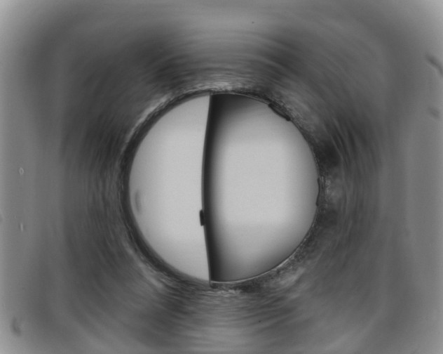 X0000098200304200804241045